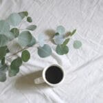 7 formas de como aliviar con el eucalipto sintomas respiratorios